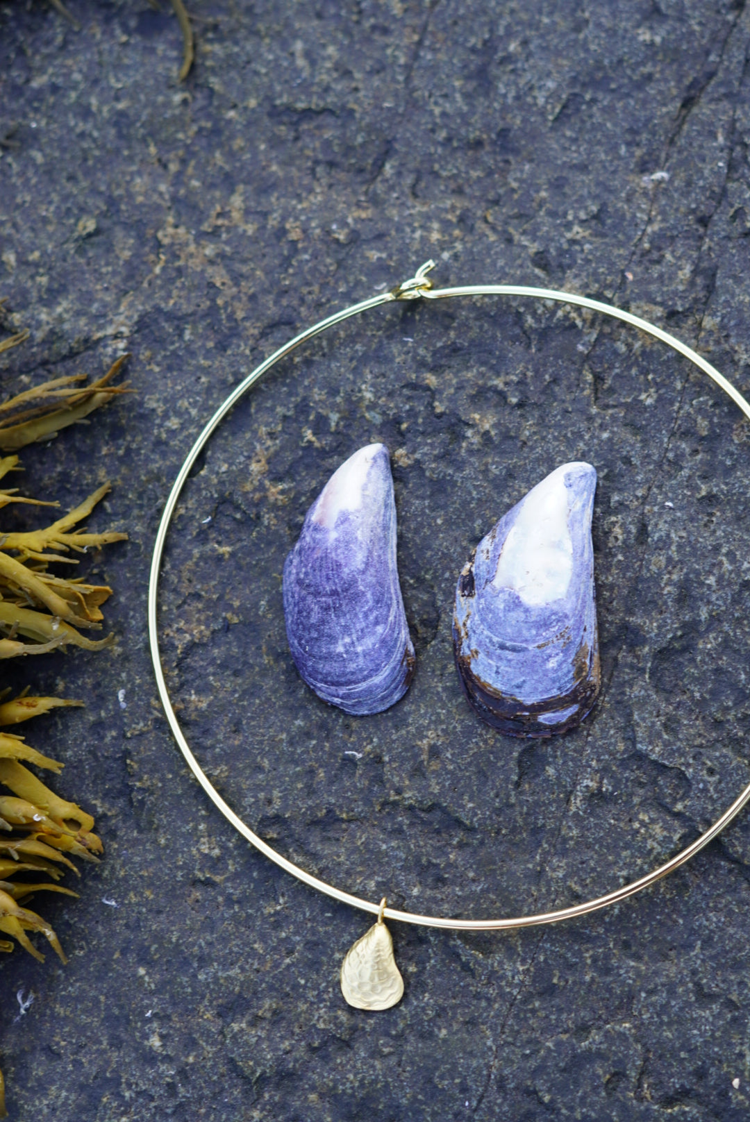 the oyster collar necklace