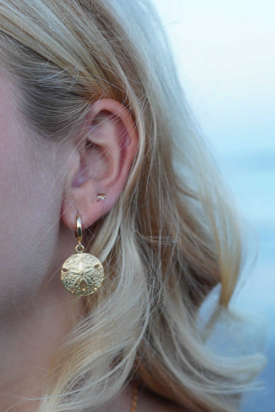 sand dollar huggies
